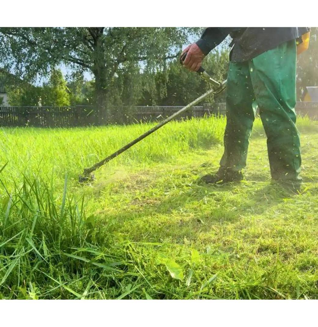 Blacktown Gardens Bloom with Expert NDIS Gardening Care!  - 3/3
