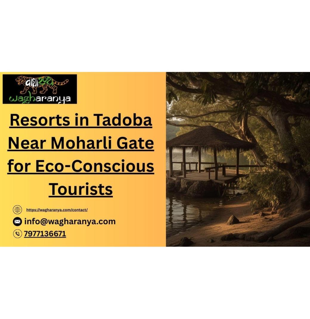Resorts in Tadoba Near Moharli Gate for Eco-Conscious Tourists