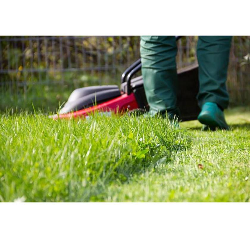 Landscaping & Gardening in Schofields | Call Today