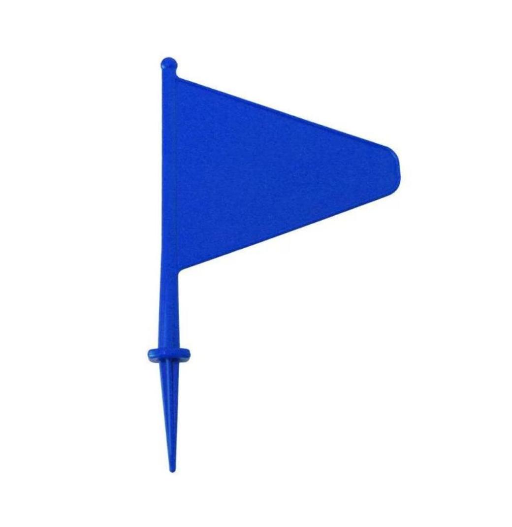 Boundary Flag