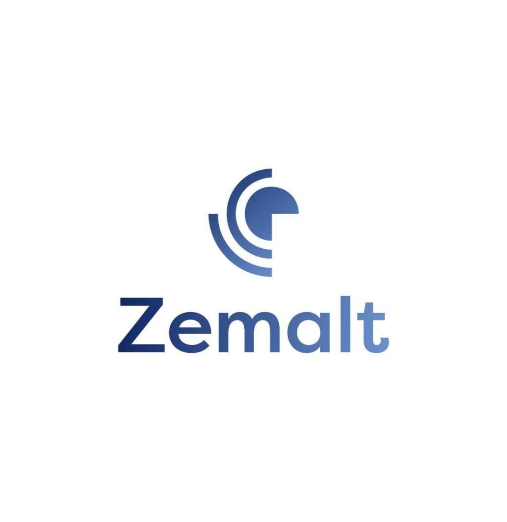 Zemalt Digital marketing services - 3/3