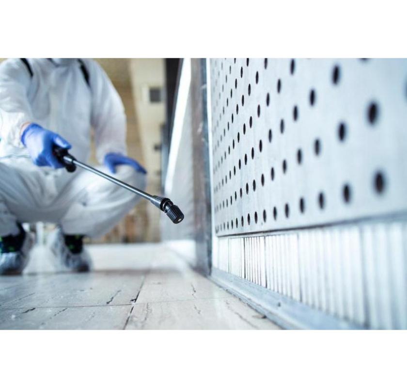 Professional Bed Bug Treatment in Orange County