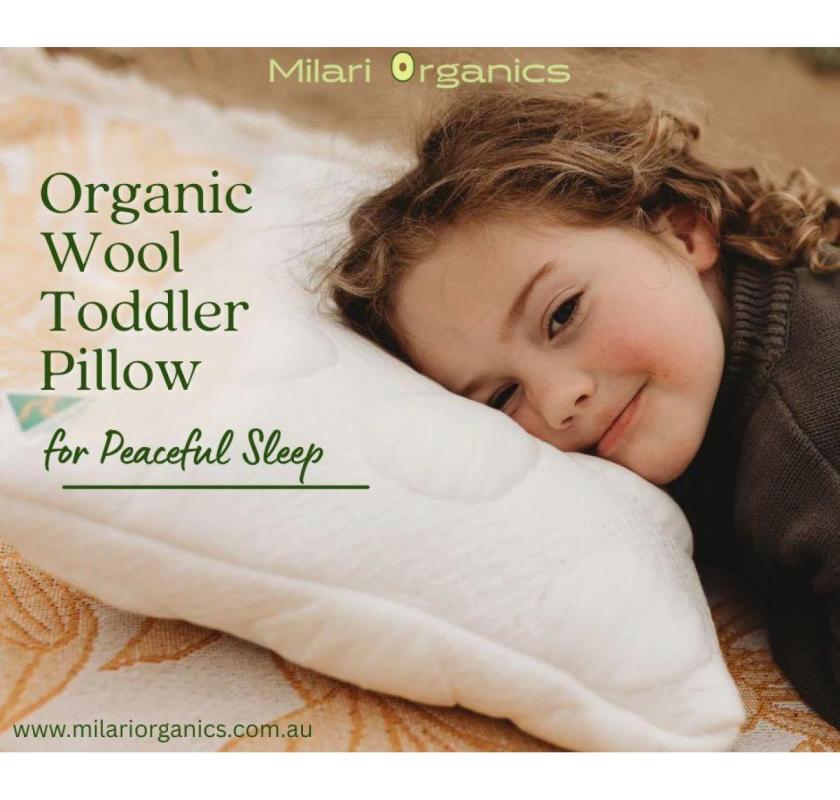Premium Organic Wool Toddler Pillow – Handmade in Australia