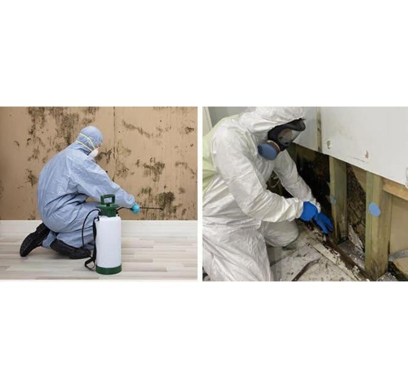 Emergency Mold Removal Melbourne Help?