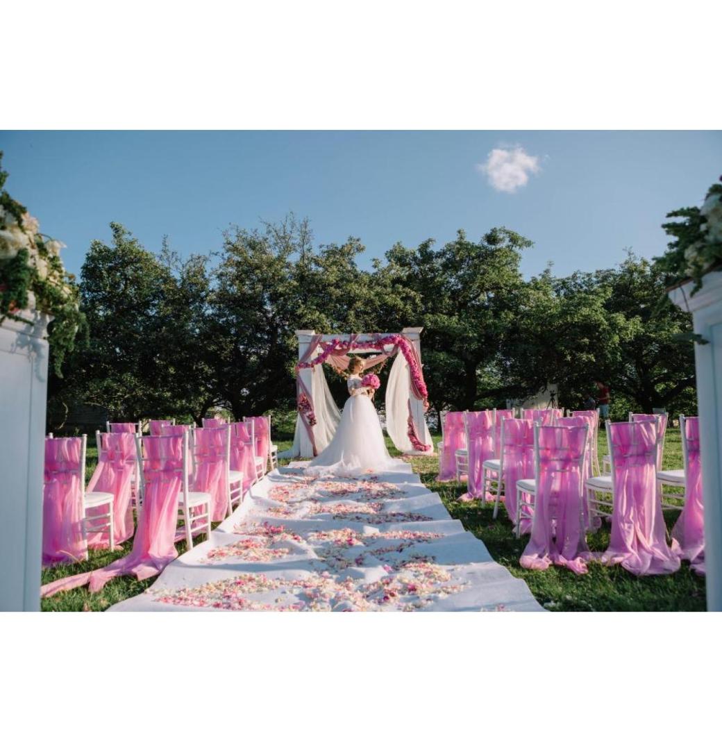 Pioneer the Future by Adopting the Top Destination Wedding Trends Now