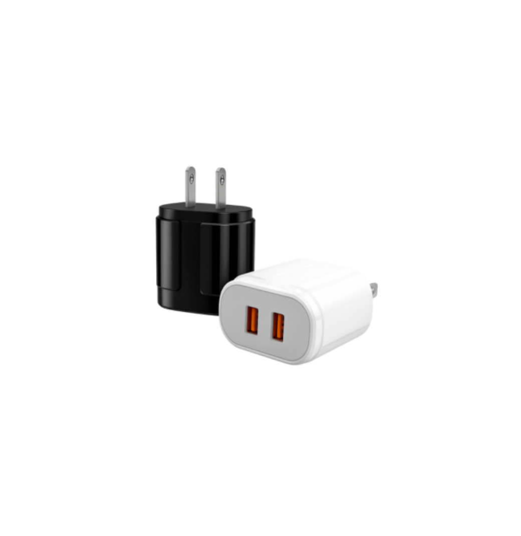 5V 2A Fast Charging Dual USB Wall Charger