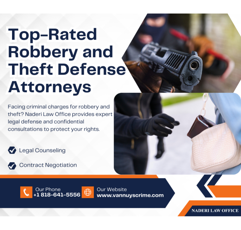 What is Robbery and Theft Defense?