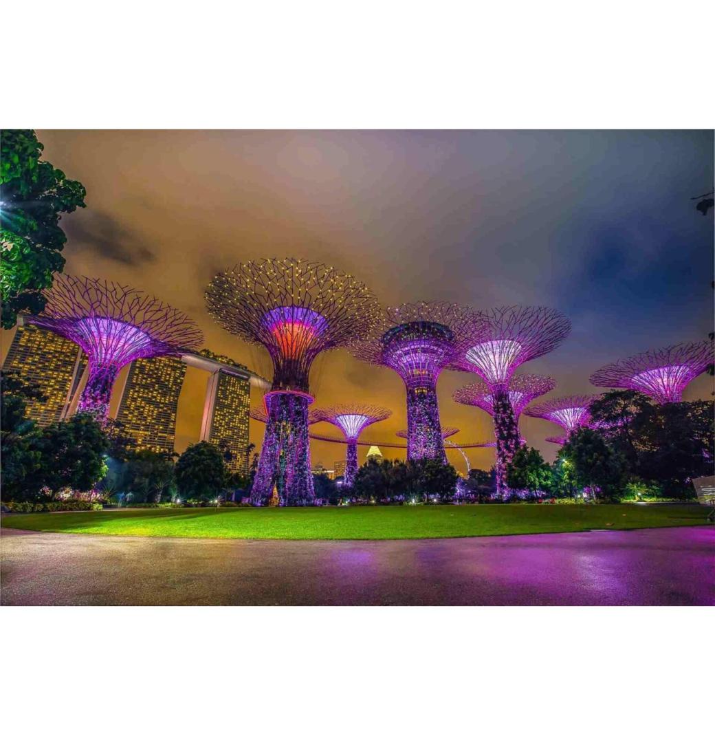 Discover Singapore Holiday Packages : City Style, Culture and Seamless Travel - 1/3
