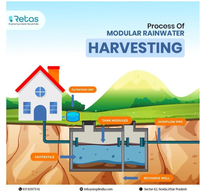 Rainwater Harvesting System: How It Works, Benefits & Setup Guide