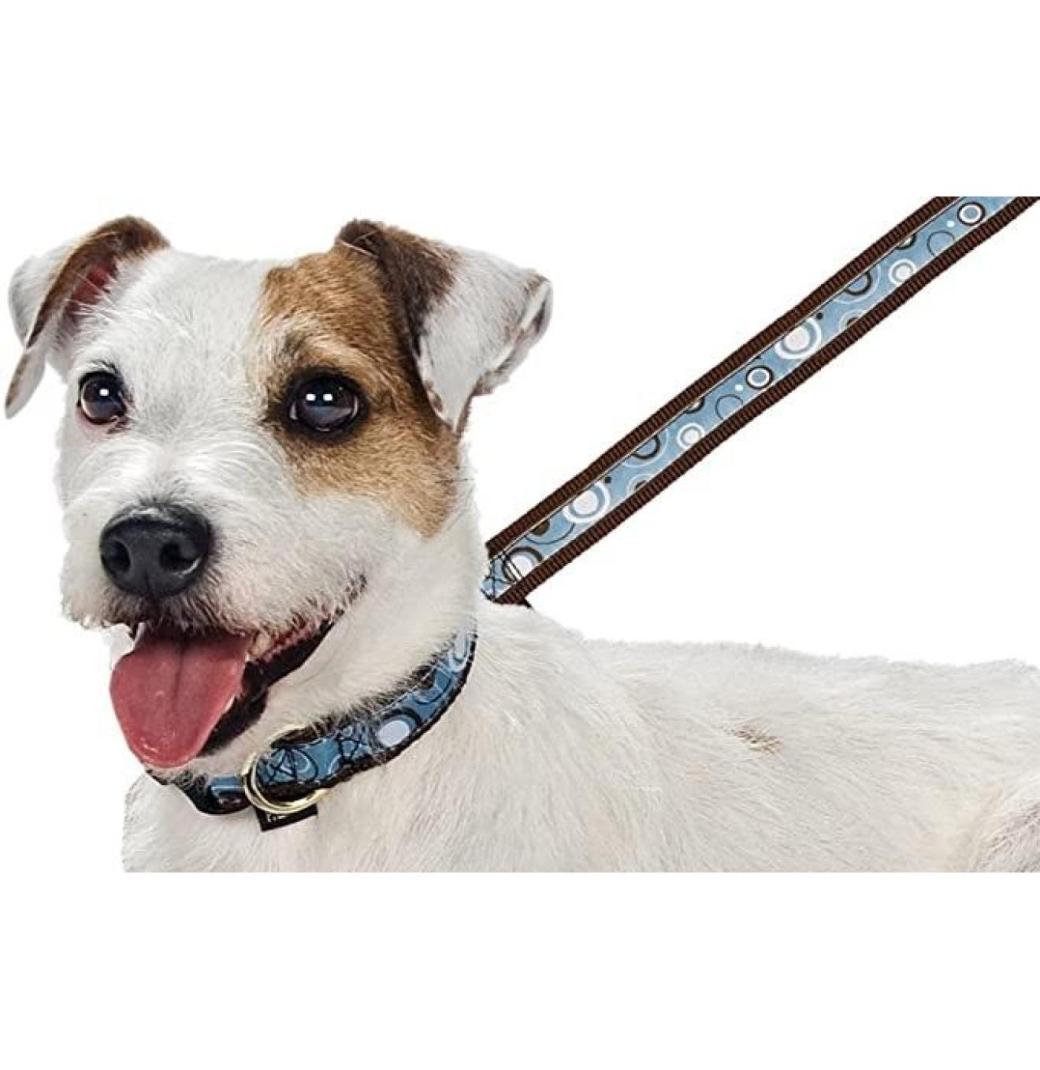 Affordable Leather Dog Collars USA – Stylish, Durable, Comfortable Picks for Every Dog