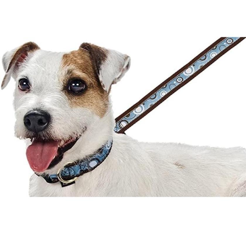 Affordable Leather Dog Collars USA – Stylish, Durable, Comfortable Picks for Every Dog