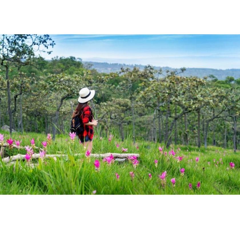 Trusted Travel Agency in Kendall Park – Sun N Sand Holidays