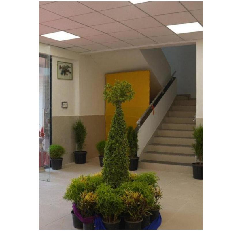 Best Old Age Homes in Mumbai for Senior Care - Healing Hands