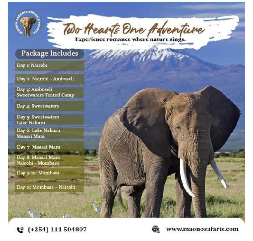 Affordable Kenya Tanzania Adventure Safari Tours | Book Today