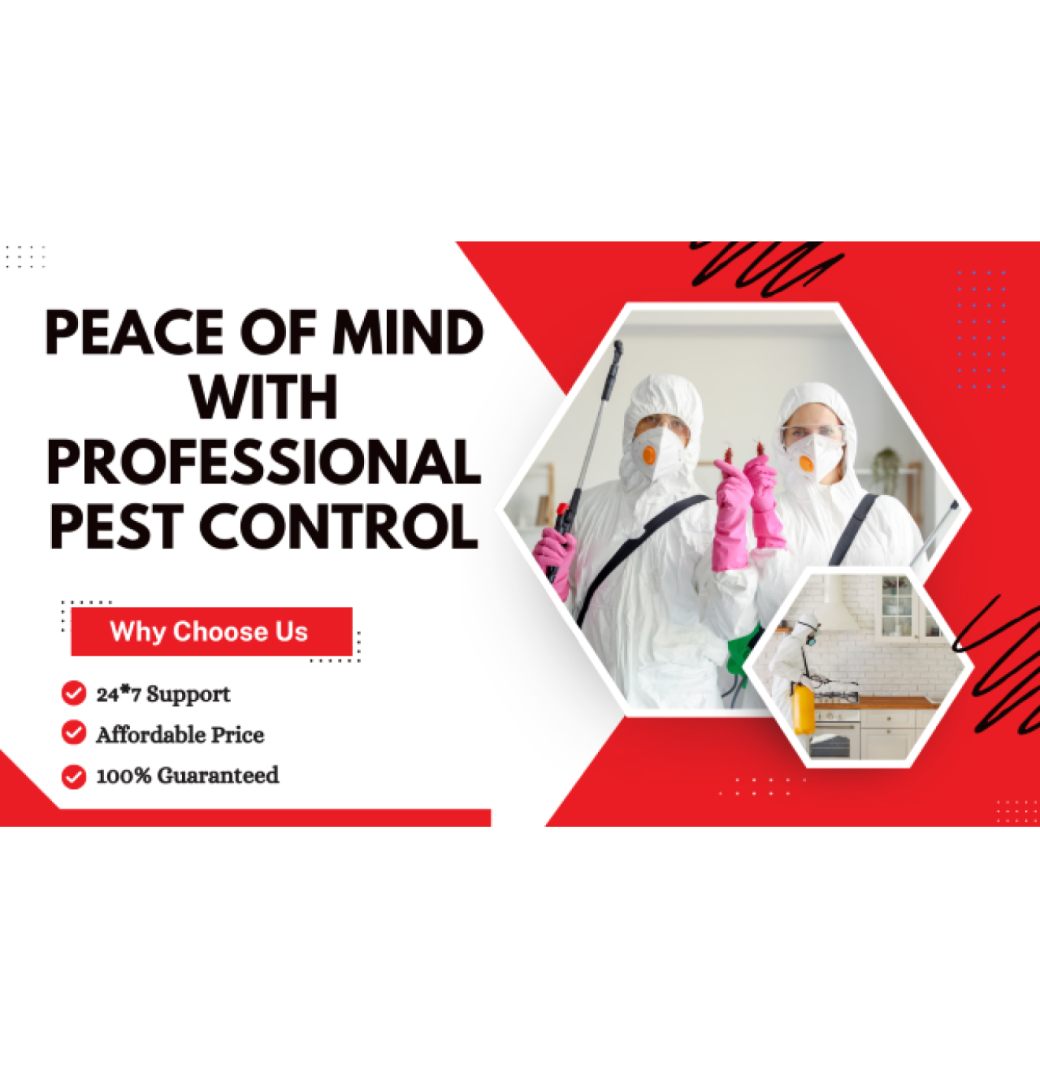 Professional Pest Control Wyndham Vale You Can Trust