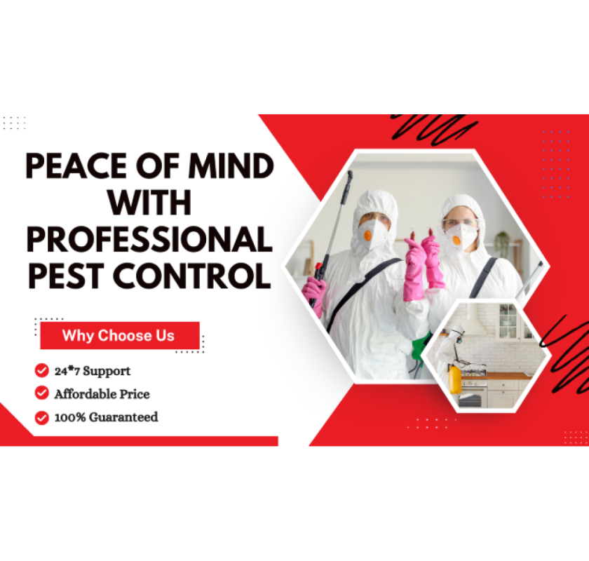 Professional Pest Control Wyndham Vale You Can Trust