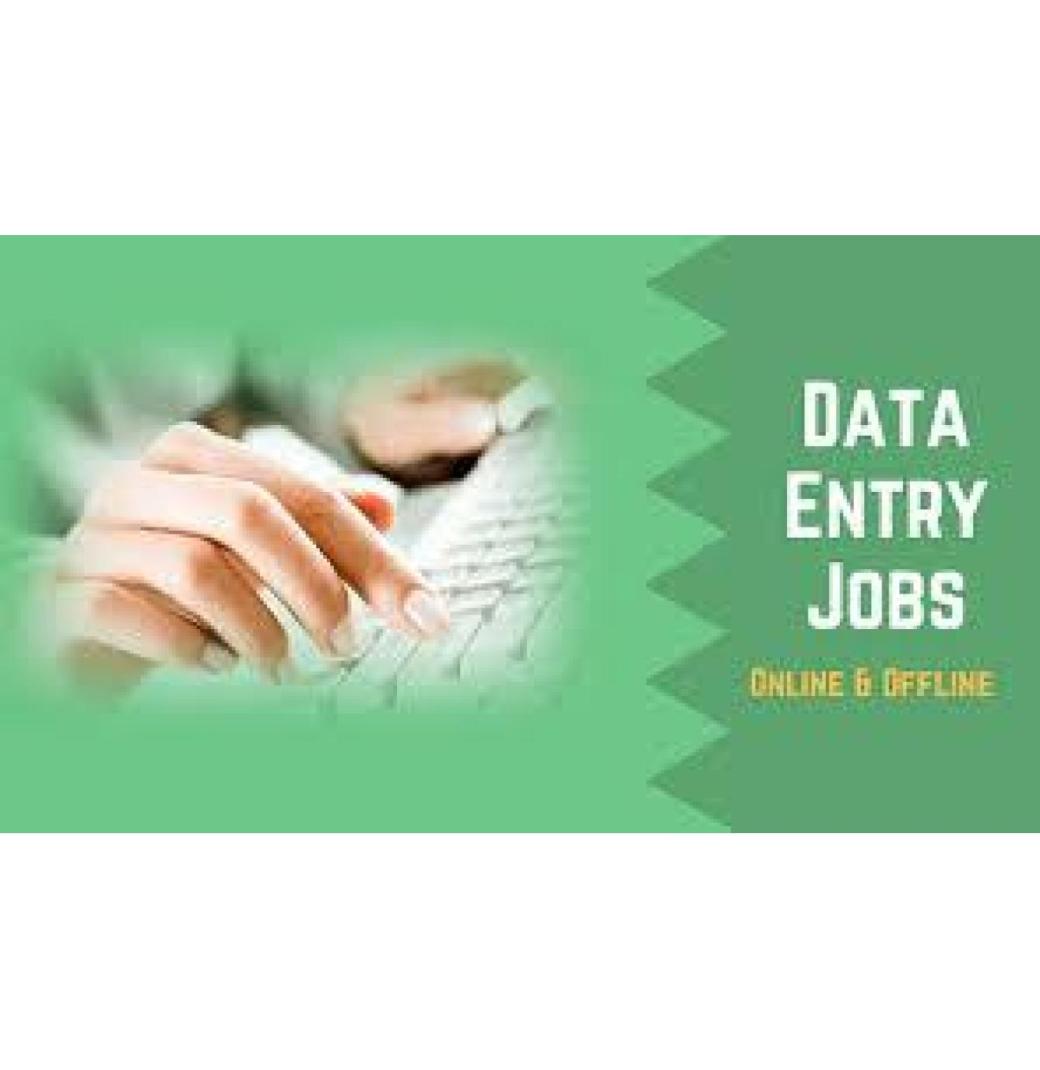 Genuine US Medical Data Entry Project - 11 Month Contract  7708244092