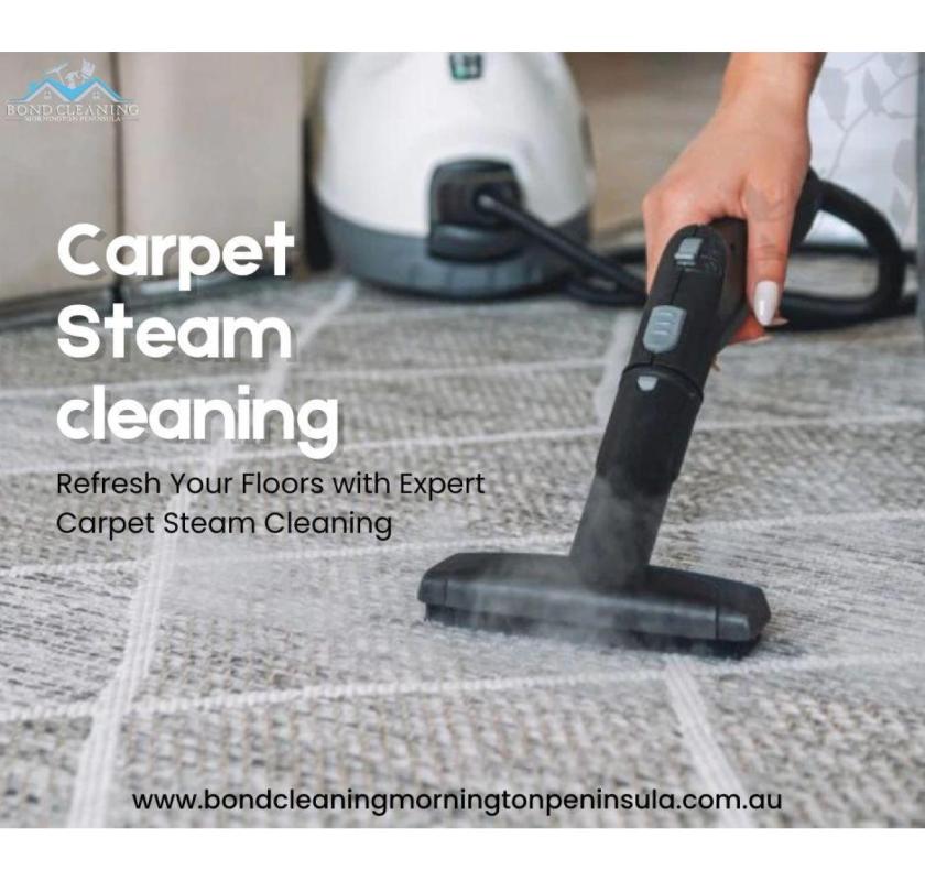 Deep Carpet Steam Cleaning That Removes Stains & Odours