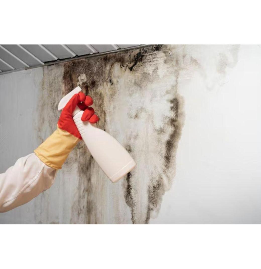 Claim Compensation for Damp and Mould in Rental Homes Today