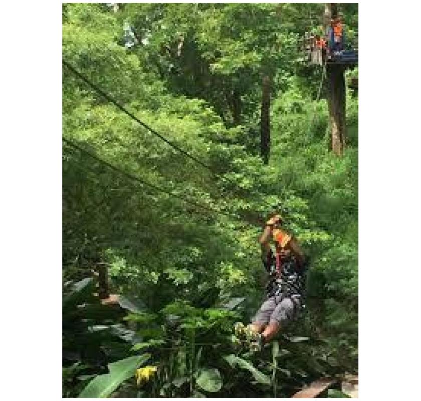 Sleeping Giant Zipline Fiji Adventure Trending Travel Must-Do