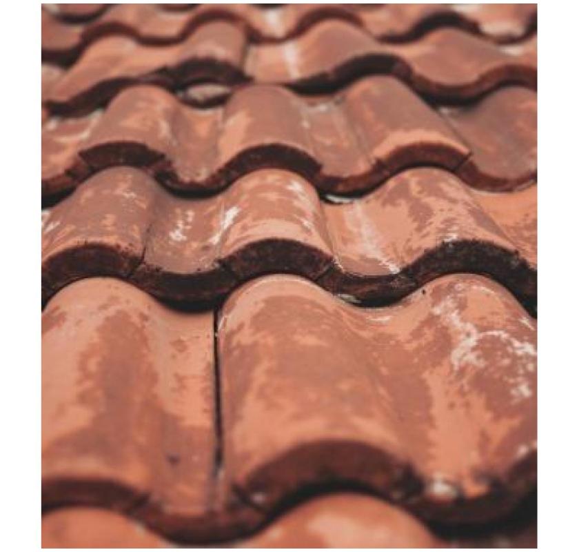 Why Professional Roofing Services Make a Difference