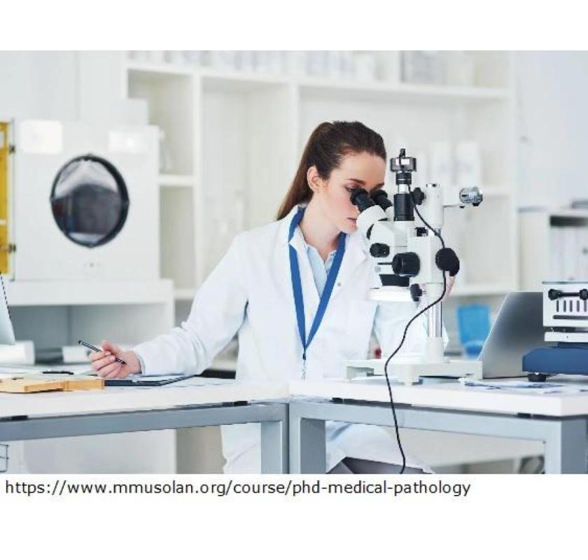 Pathology phd programs