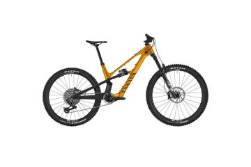 2025 Canyon Spectral:ONfly CF CLLCTV Mountain Bike (INDORACYCLES)