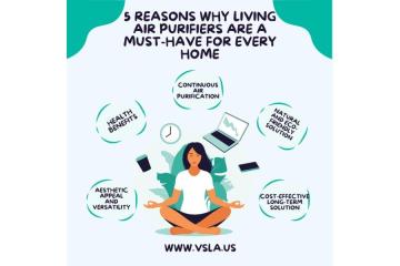 Reliable Ozone Plate Upgrade