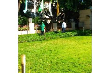 Artificial Grass in Mumbai – Stylish & Durable Lawns | GreenLands 