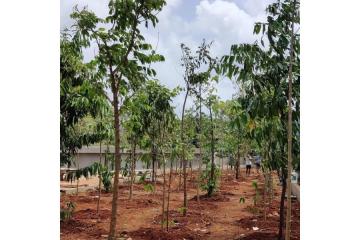 Landscape Gardening Services for Residential & Commercial Spaces GreenLands