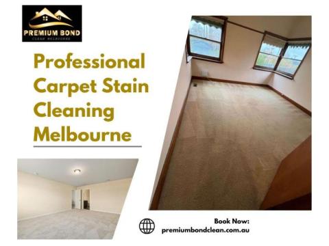 Expert Carpet Cleaning Services in Melbourne