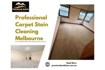 Expert Carpet Cleaning Services in Melbourne