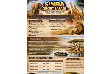 Best Kenya Tanzania Tour Packages from India – Book Now