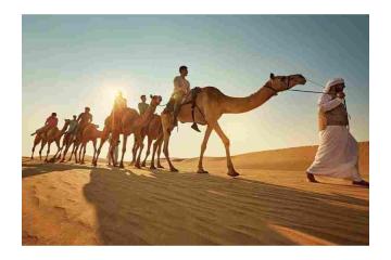 Discover Abu Dhabi Holidays Packages: Coastal Serenity and Desert Beauty