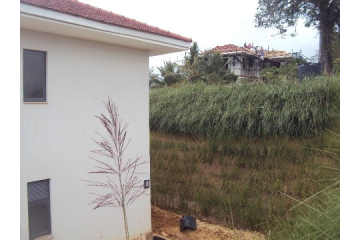 Landscaping & Design Draper