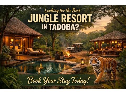 Looking for the Best Jungle Resort in Tadoba? Book Your Stay