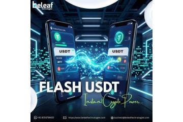 Instant Crypto Power Starts with Advanced Flash USDT