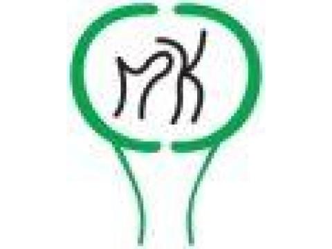 Discover Best Orthopaedic Clinic In Greater Noida West