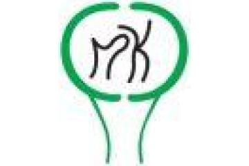 Discover Best Orthopaedic Clinic In Greater Noida West