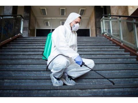 Termite Pest Control Irvine CA | Malang Pest Control