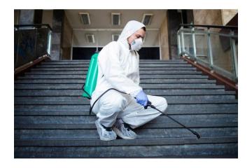 Termite Pest Control Irvine CA | Malang Pest Control