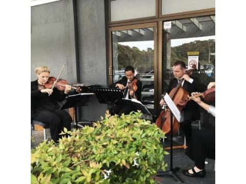 Premier String Quartet Sydney | String Musicians Australia