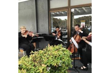 Premier String Quartet Sydney | String Musicians Australia