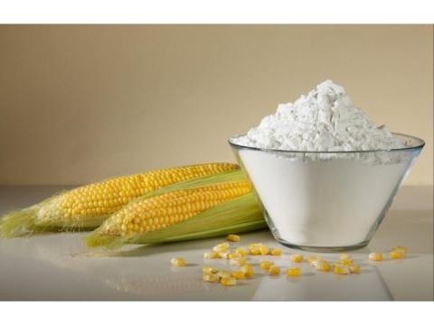 Top Modified Starch Supplier in Gujarat | Food & Industrial Grade - Ahmedabad