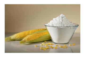 Top Modified Starch Supplier in Gujarat | Food & Industrial Grade - Ahmedabad