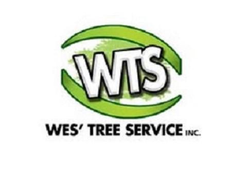 emergency tree removal