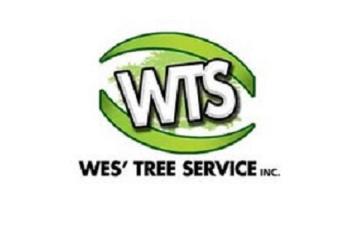 emergency tree removal