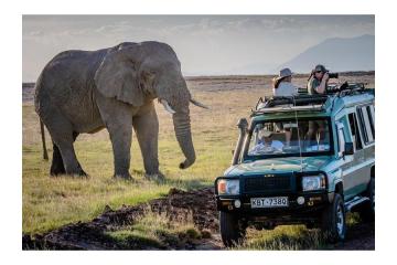 Custom Kenya Tanzania Adventure Safari Tours