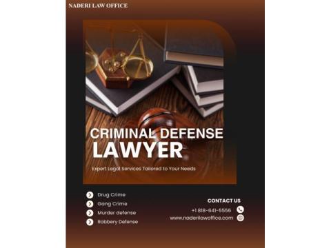 Best Criminal Defense Lawyer in Van Nuys !