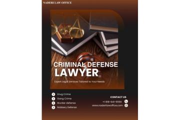 Best Criminal Defense Lawyer in Van Nuys !